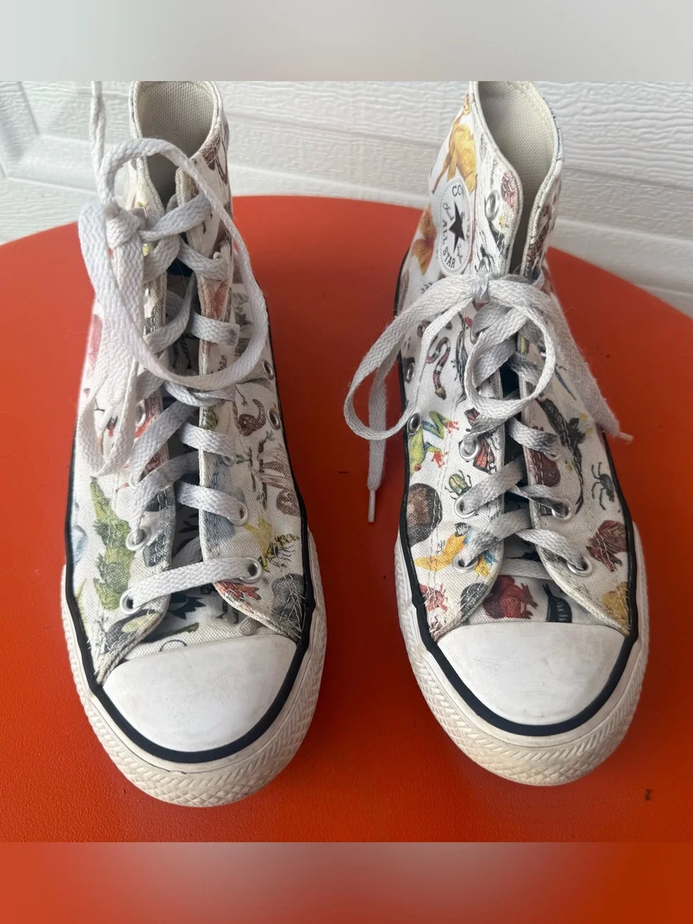 Converse Junior Chuck Taylor All Star Hi sneakers Science Class / Zoo Animals 5